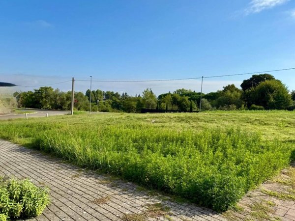 terreno agricolo in vendita a Montopoli in Val d'Arno