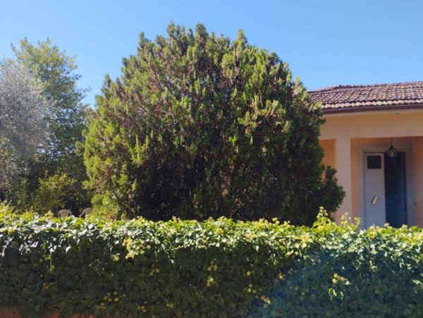 casa indipendente in vendita a Montopoli in Val d'Arno in zona Marti