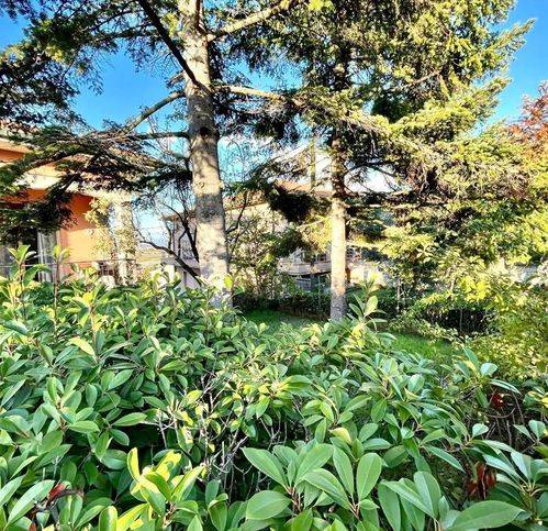 casa indipendente in vendita a Montopoli in Val d'Arno in zona San Romano