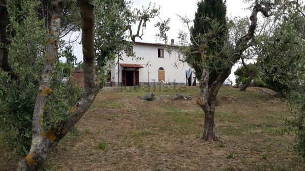 pentavano in vendita a Montopoli in Val d'Arno