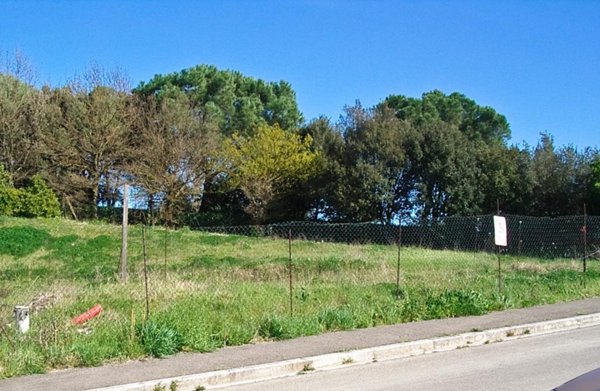 casa indipendente in vendita a Montopoli in Val d'Arno in zona San Romano