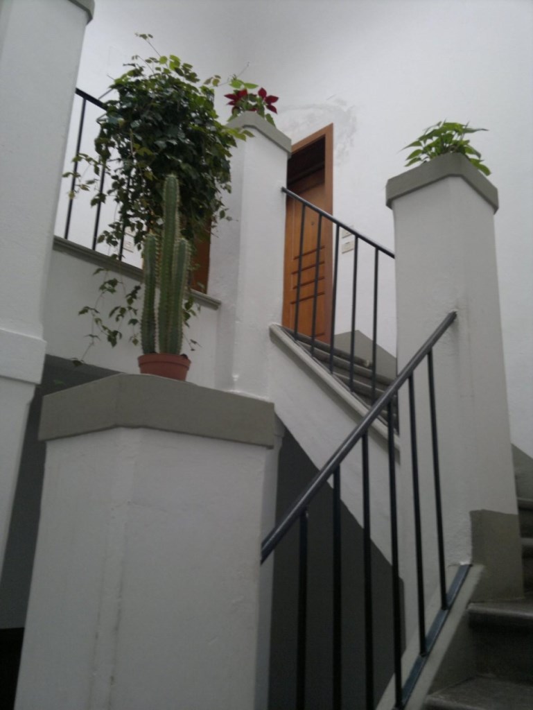 immagine annuncio 0 di 6