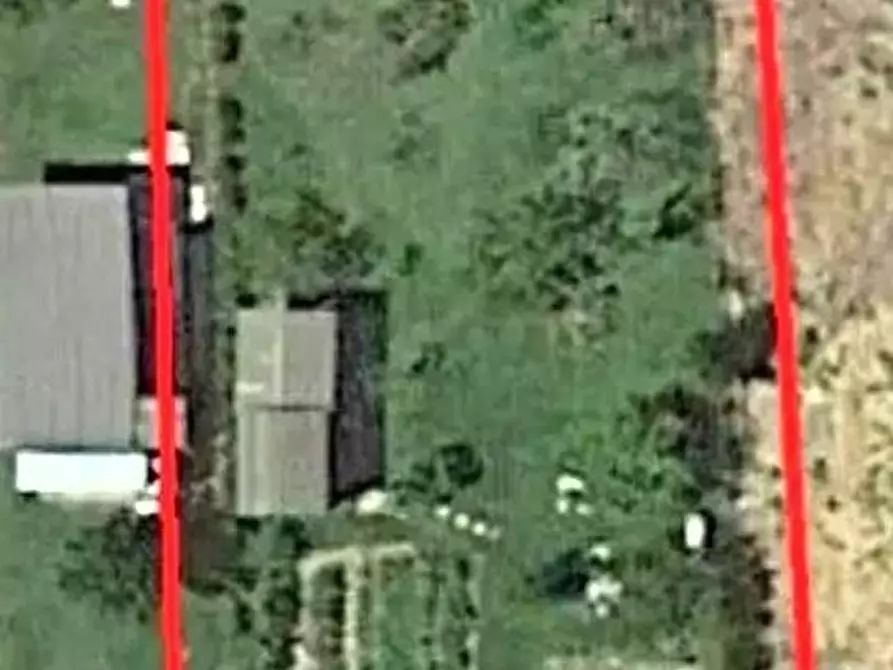 terreno agricolo in vendita a Montopoli in Val d'Arno