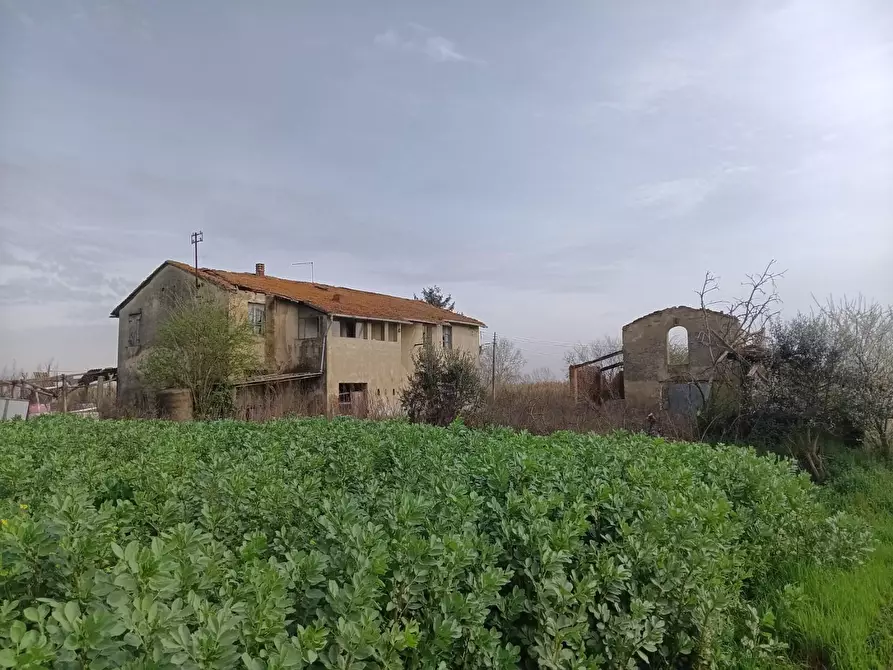 rudere in vendita a Montopoli in Val d'Arno