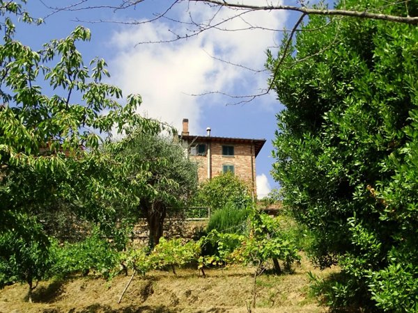 casa indipendente in vendita a Montopoli in Val d'Arno in zona Marti