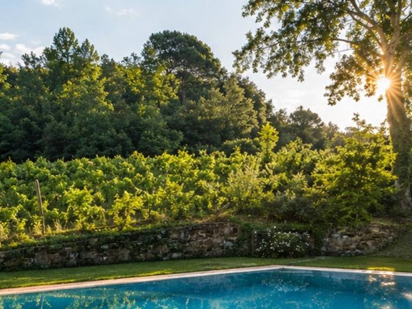 casa indipendente in vendita a Montopoli in Val d'Arno