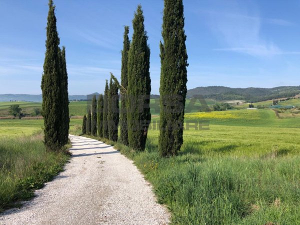 casa indipendente in vendita ad Orciano Pisano