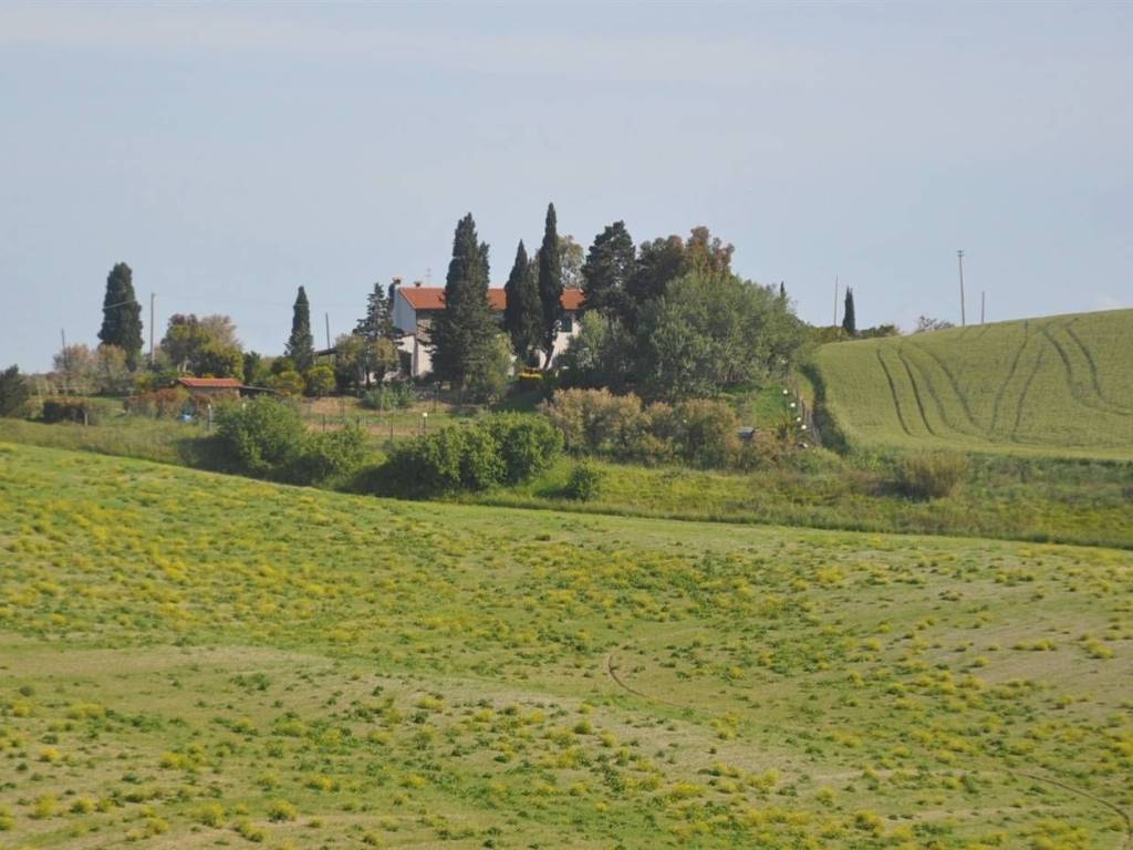 casa indipendente in vendita ad Orciano Pisano