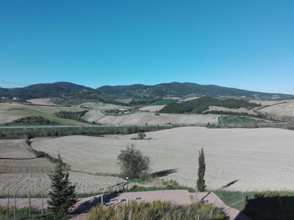 appartamento in vendita ad Orciano Pisano