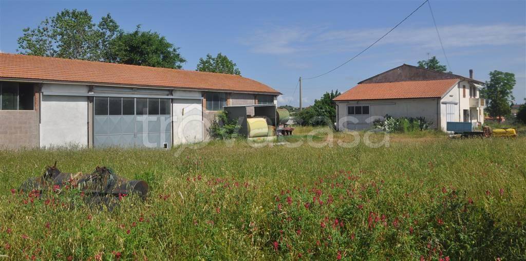 casa indipendente in vendita ad Orciano Pisano