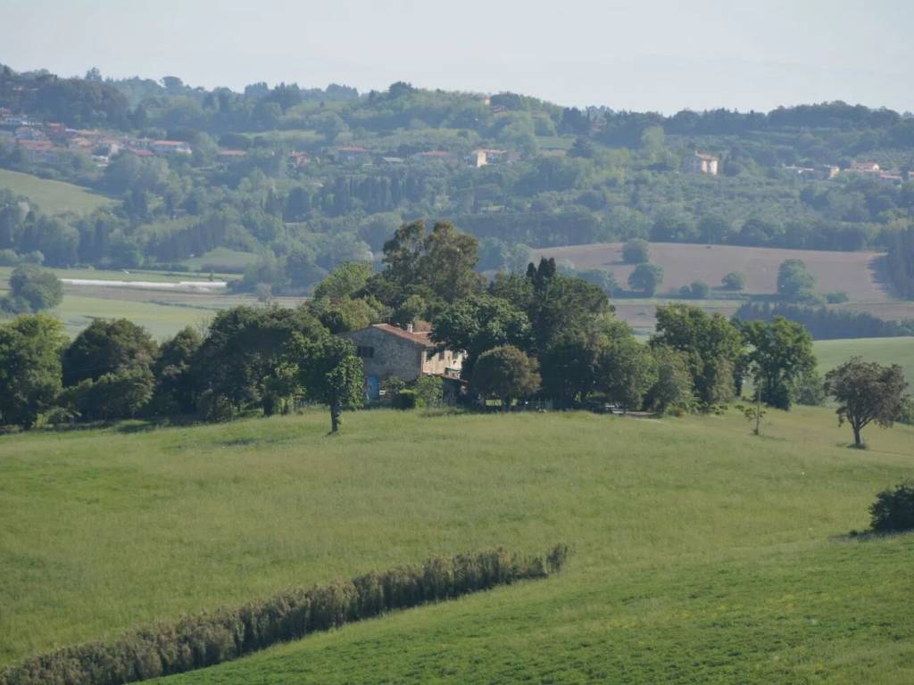 casa indipendente in vendita ad Orciano Pisano