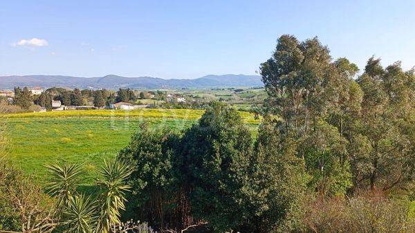 appartamento in vendita ad Orciano Pisano