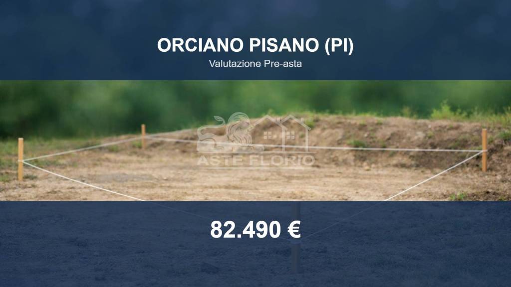 terreno agricolo in vendita ad Orciano Pisano