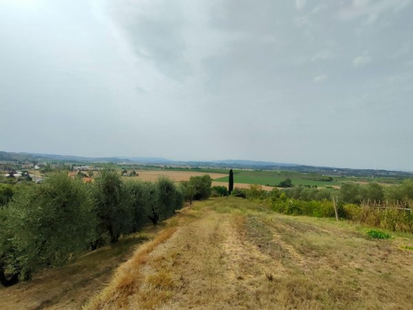 terreno agricolo in vendita a Palaia in zona Forcoli