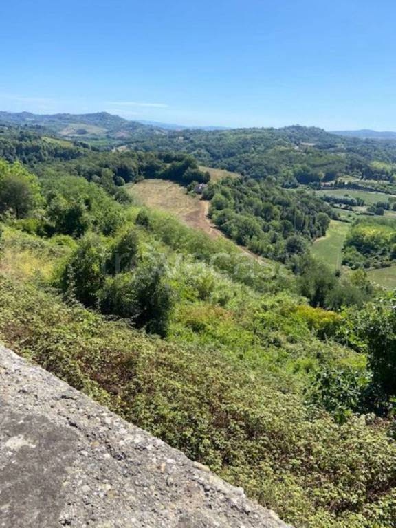 casa indipendente in vendita a Palaia in zona Montefoscoli