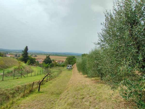 terreno agricolo in vendita a Palaia in zona Forcoli