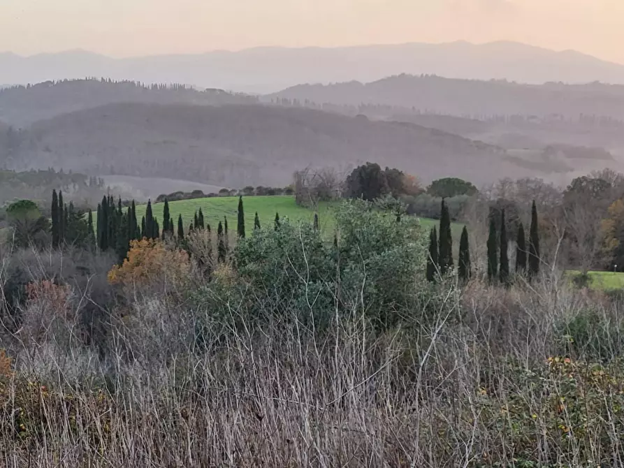 terreno agricolo in vendita a Palaia