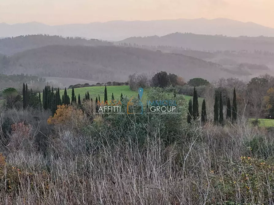terreno agricolo in vendita a Palaia