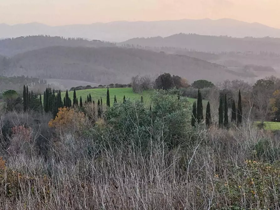 terreno agricolo in vendita a Palaia