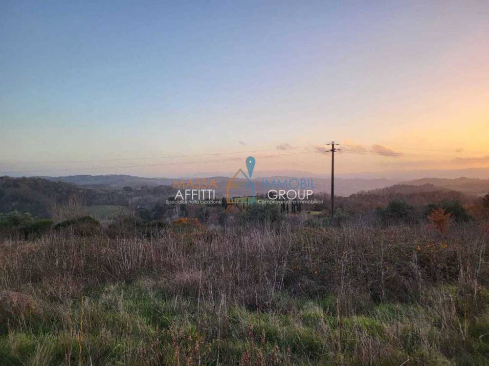 terreno agricolo in vendita a Palaia