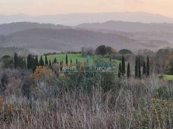 terreno agricolo in vendita a Palaia