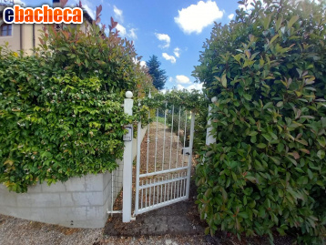 appartamento in vendita a Palaia