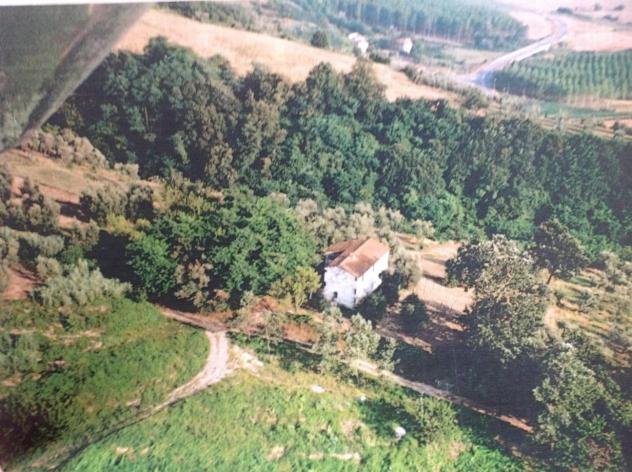 terreno agricolo in vendita a Palaia in zona Forcoli