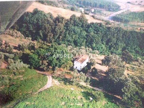 casa indipendente in vendita a Palaia in zona Forcoli