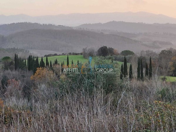 terreno agricolo in vendita a Palaia