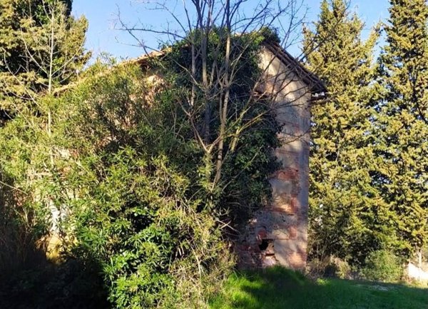 appartamento in vendita a Palaia