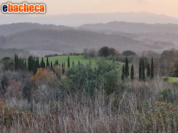 terreno agricolo in vendita a Palaia