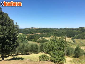 appartamento in vendita a Palaia