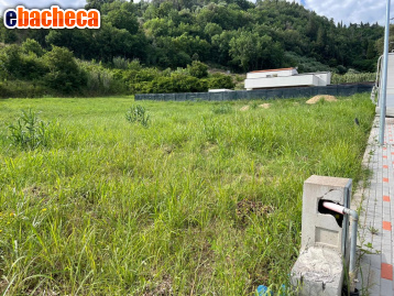 casa indipendente in vendita a Palaia in zona Forcoli