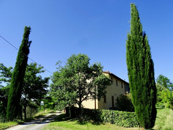 casa indipendente in vendita a Palaia