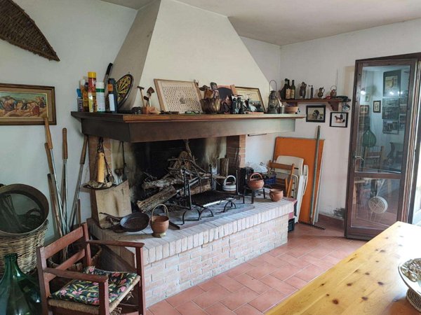azienda agricola in vendita a Palaia in zona Forcoli