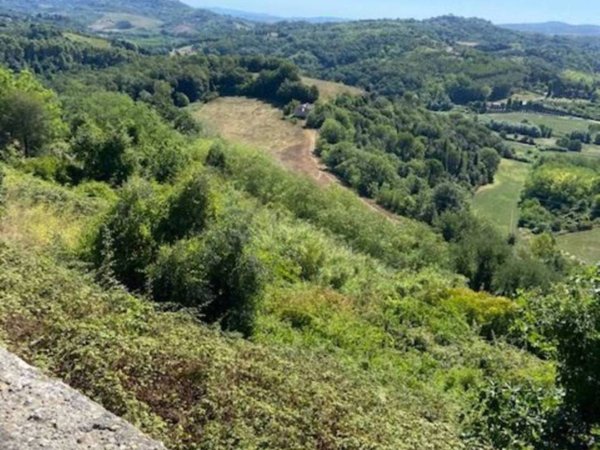casa indipendente in vendita a Palaia in zona Montefoscoli