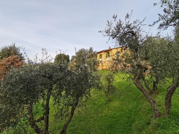 casa indipendente in vendita a Palaia