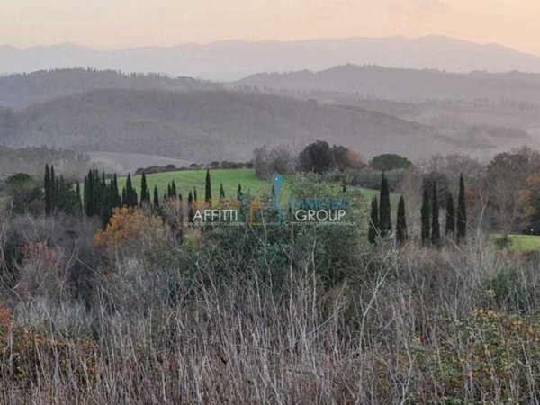 terreno agricolo in vendita a Palaia
