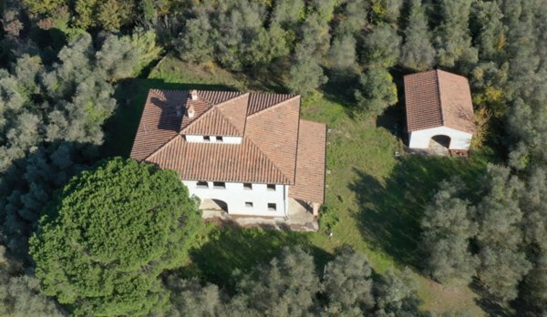 casa indipendente in vendita a Palaia