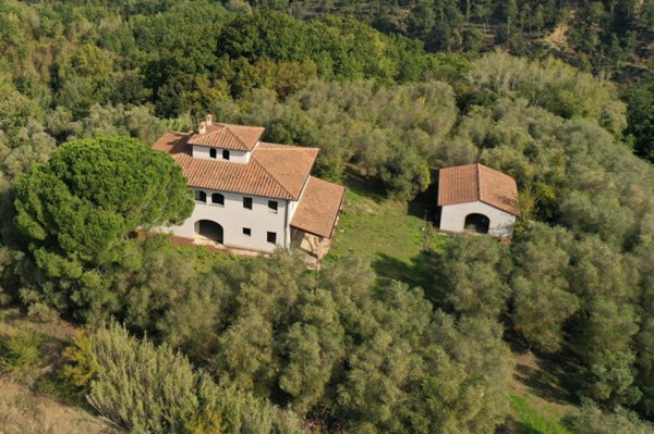 casa indipendente in vendita a Palaia