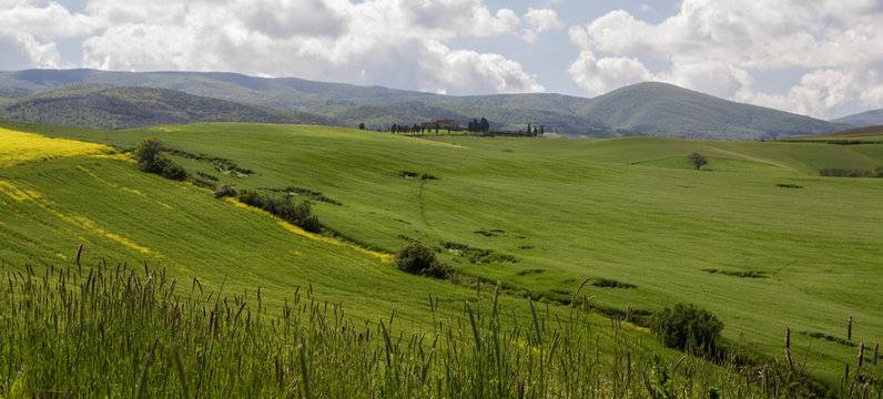 casa indipendente in vendita a Palaia in zona Montefoscoli