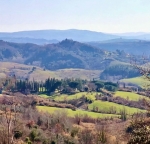 casa indipendente in vendita a Palaia