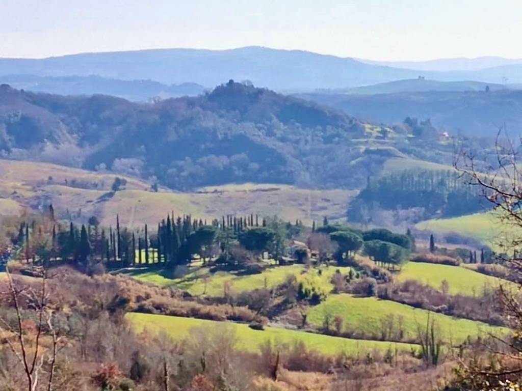 casa indipendente in vendita a Palaia