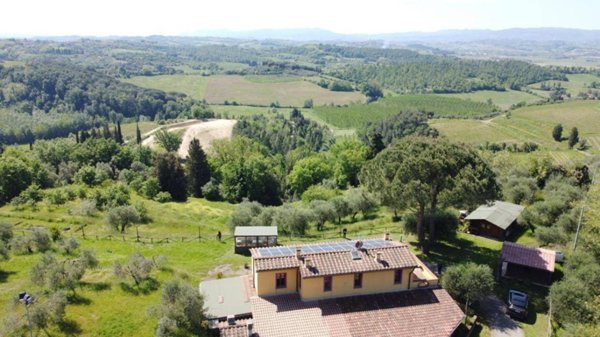 esavano in vendita a Palaia