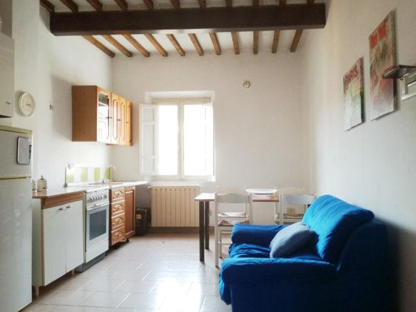 appartamento in vendita a Palaia