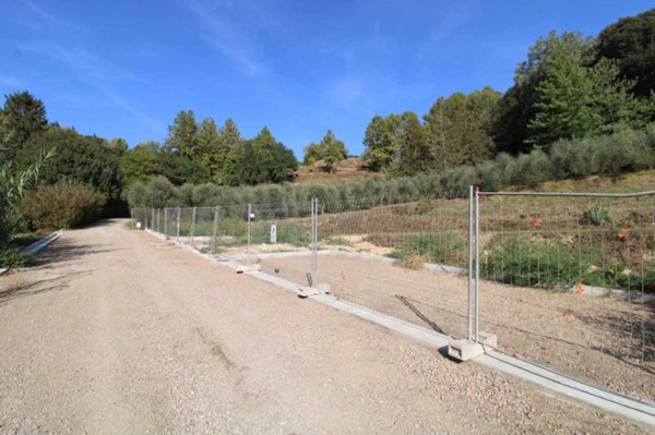 terreno edificabile in vendita a Palaia in zona Forcoli