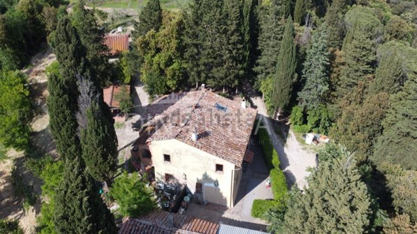 pentavano in vendita a Palaia