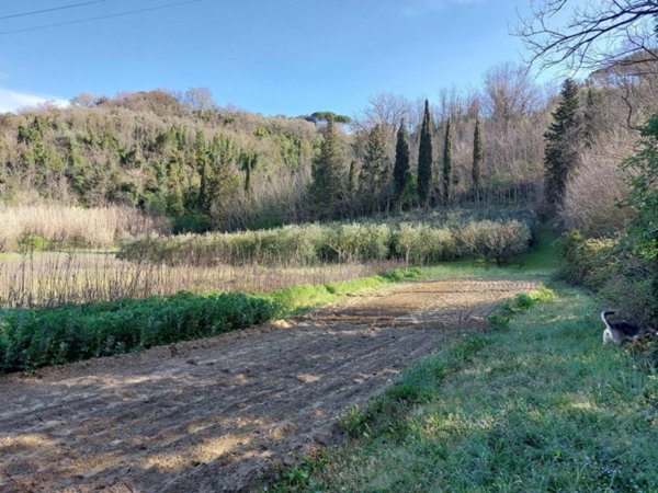 casa indipendente in vendita a Palaia
