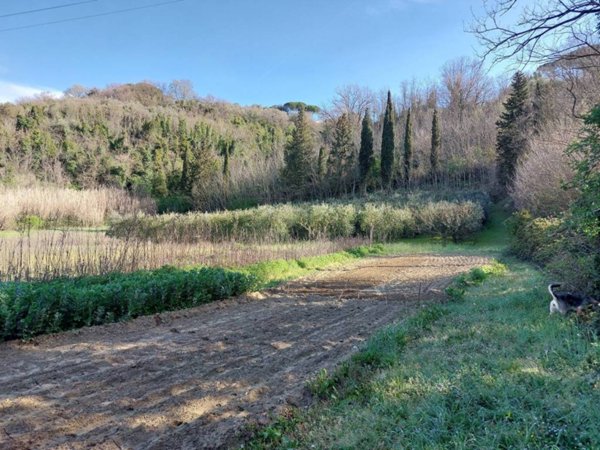 casa indipendente in vendita a Palaia in zona Forcoli