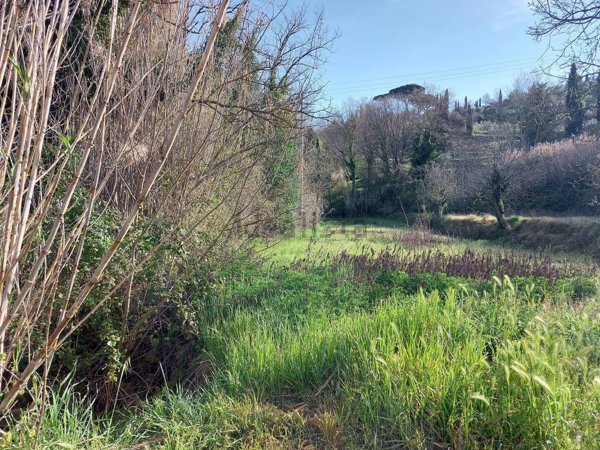 casa indipendente in vendita a Palaia